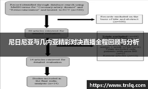尼日尼亚与几内亚精彩对决直播全程回顾与分析
